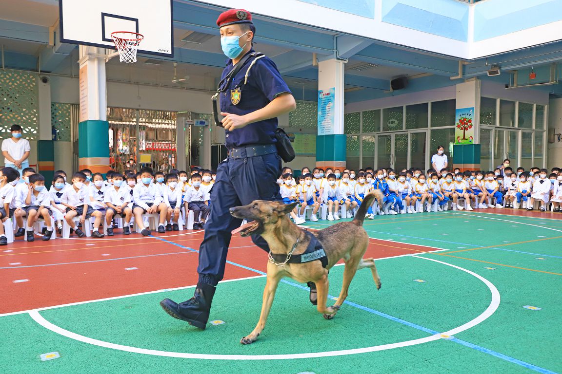 2022年10月26日治安警察局 警犬組表演